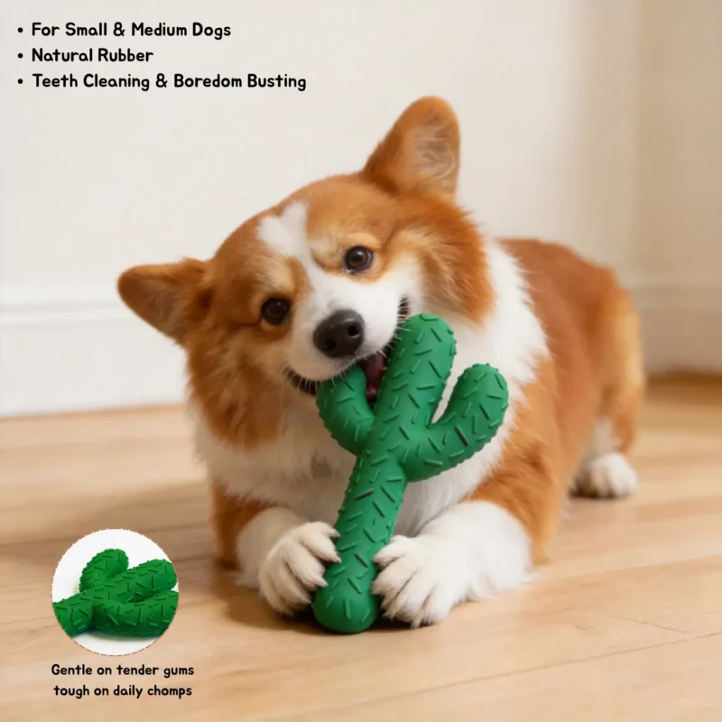 Cactus Natural Rubber Dog Chew Toy for Small and Medium Dogs Corgi chewing a green Cactus Natural Rubber Dog Chew Toy for teeth cleaning and boredom relief