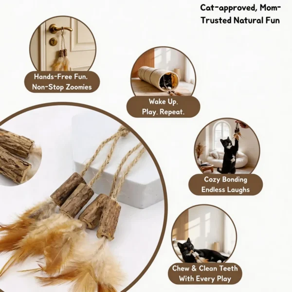 Silvervine Feather Hang and Play Interactive Cat Chew Toy infographic showing natural feather tassels, door-hanging play, cozy bonding, wake-up play, and “chew & clean teeth with every play” copy.