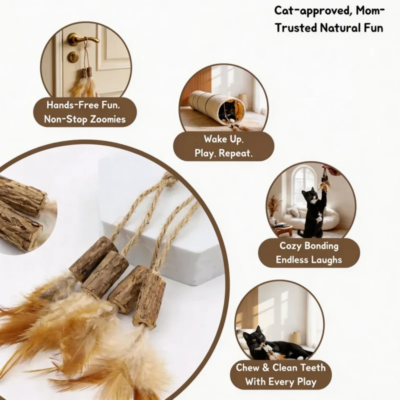 Silvervine Feather Hang and Play Interactive Cat Chew Toy infographic showing natural feather tassels, door-hanging play, cozy bonding, wake-up play, and “chew & clean teeth with every play” copy.