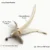Ivory Cream Feather