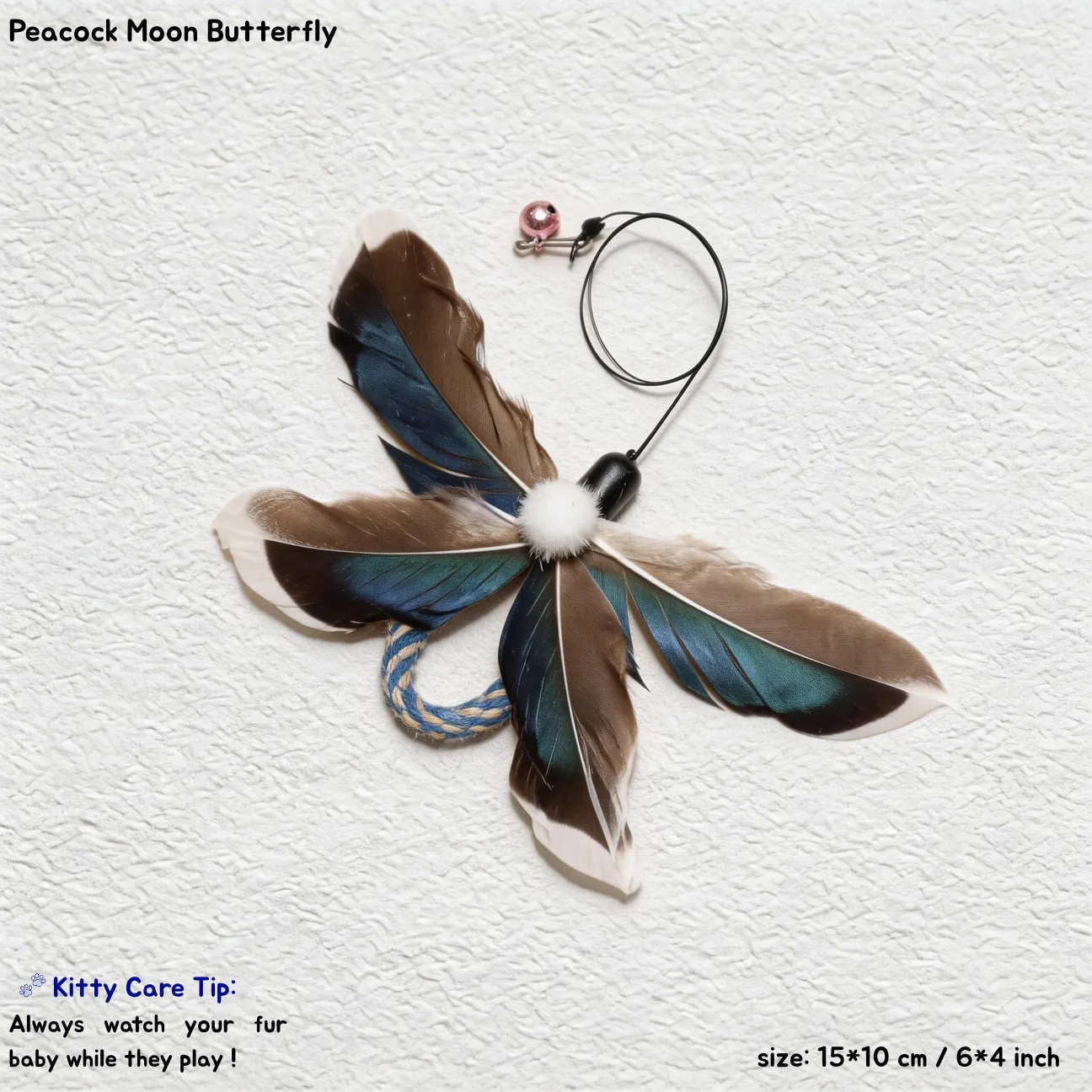 Peacock Moon Butterfly