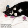 Boxed Soft Yarn Pom Pom Silent Cat Toy Balls 6 Pack with colorful plush balls for solo cat play and fetch