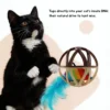Cat reaching for Touch Activated Chirping Mouse Cage Ball designed to spark natural mouse-hunting instincts