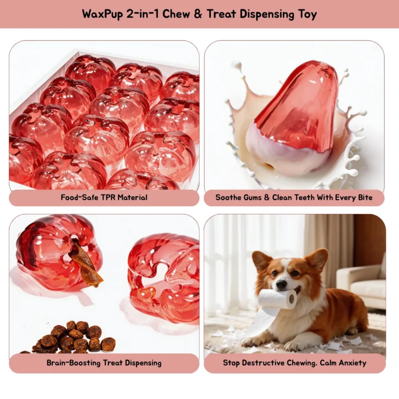 WaxPup 2-in-1 Chew and Treat Dispensing Toy Features Milky Wax Apple Treat-Dispensing Natural Rubber Dog Chew Toy showing treat hiding, gum soothing and boredom relief features