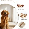 Golden retriever holding a Beef Flavored BarkBone Dog Chew Toy with feature callouts for dishwasher safe use, dental care, all breeds, aggressive chewers, clean teeth, soothed teething gums, and zero-hassle cleaning.