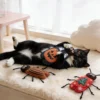 Black cat hugging and kicking a Halloween Pumpkin Felt Roach Interactive Cat Chew Toy on a soft window bed.