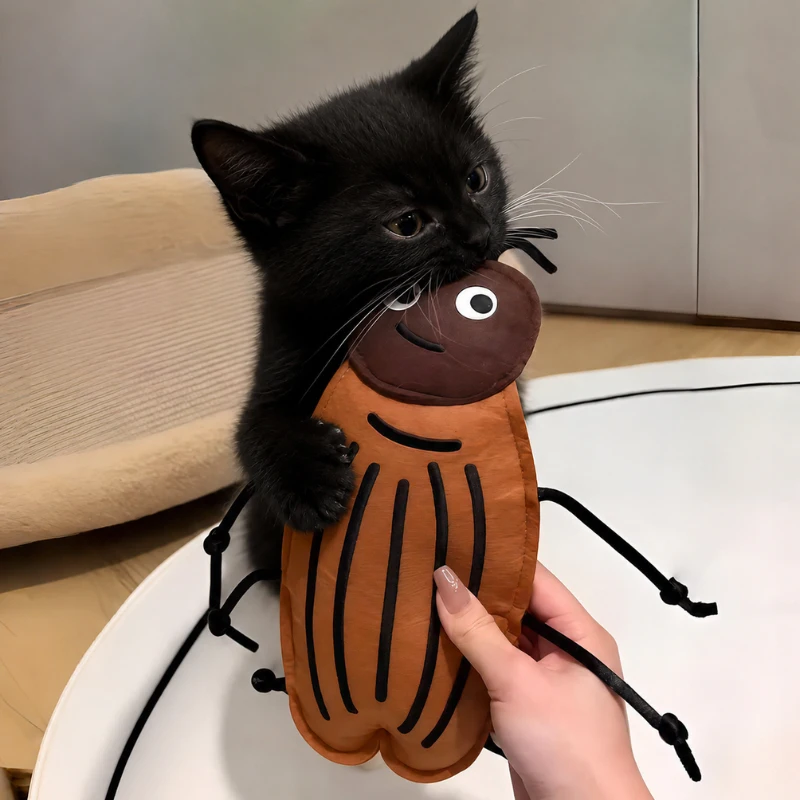 Black cat playing with a cockroach cat kick toy, showing natural grabbing and biting behavior during interactive play.