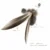 Brown Longtail