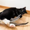 cat-playing-with-giant-goose-feather-wand-toy Black-and-white cat playing with a giant goose feather wand toy, holding the long natural feathers between both front paws during interactive play.