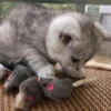 Cat playing with Rabbit Fur Mouse Scent Enrichment Cat Toy on a woven mat for natural hunting play