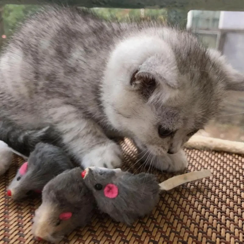 Cat playing with Rabbit Fur Mouse Scent Enrichment Cat Toy on a woven mat for natural hunting play