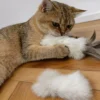 Indoor cat hugging and biting the Cream White Chirp Bunny Scent Enrichment Cat Kicker Toy for bunny-kick play.