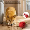 Shiba Inu using the Dragon Fruit Treat-Dispensing Dog Chew Toy with kibble, showing chew-proof fun, dental care, enrichment, and slow feeding.