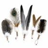 five-giant-feather-interactive-wand-toy-cat-refills Five giant feather interactive cat toy wand refill styles with natural turkey, peacock, goose, duck and ostrich feathers, Bunny Fur and Silvervine.