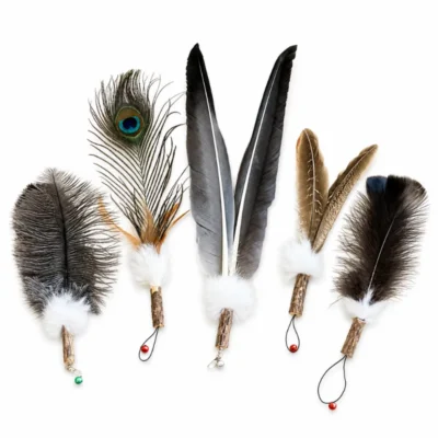 Five giant feather interactive cat toy wand refill styles with natural turkey, peacock, goose, duck and ostrich feathers, Bunny Fur and Silvervine.