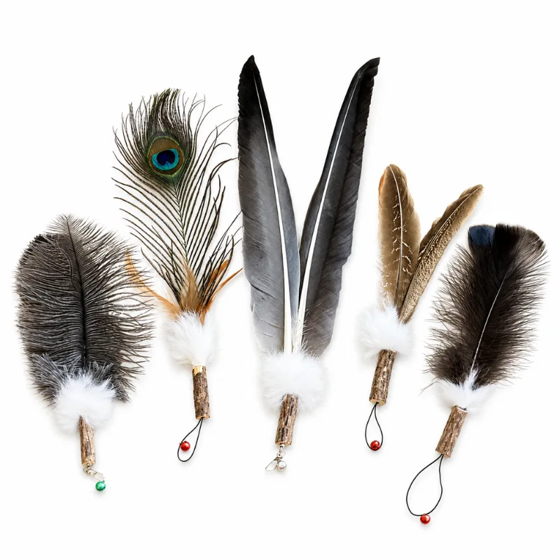 five-giant-feather-interactive-wand-toy-cat-refills Five giant feather interactive cat toy wand refill styles with natural turkey, peacock, goose, duck and ostrich feathers, Bunny Fur and Silvervine.