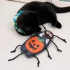 Halloween cat toy featuring a pumpkin cockroach design, creating a fun seasonal play moment for cats and owners.
