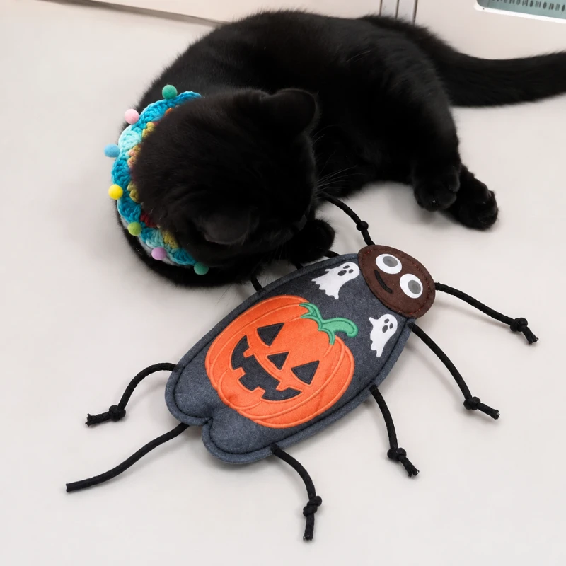 Halloween cat toy featuring a pumpkin cockroach design, creating a fun seasonal play moment for cats and owners.
