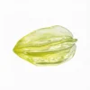 Milky Starfruit Natural Rubber Dog Chew Toy in a translucent green starfruit shape with ridged texture for chewing and enrichment.