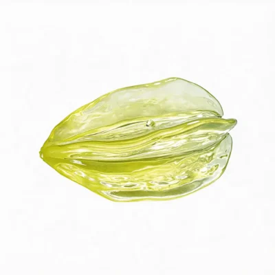 Milky Starfruit Natural Rubber Dog Chew Toy Main Image Milky Starfruit Natural Rubber Dog Chew Toy in a translucent green starfruit shape with ridged texture for chewing and enrichment.