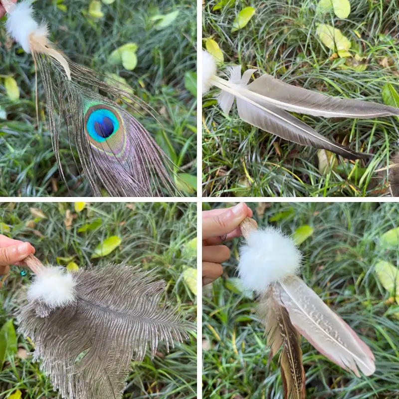 natural-feather-cat-toy-replacement-feathers-outdoors Outdoor close-up collage of peacock, goose, ostrich and duck cat toy replacement feathers with fluffy Bunny Fur and Silvervine centers.