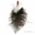Ostrich Plume