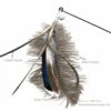 ostrich-plume-cat-wand-replacement-size Ostrich Plume cat wand replacement shown attached to a wand, with gray ostrich, duck, and chicken feathers and 18 × 5 cm dimensions.