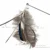 Ostrich Plume