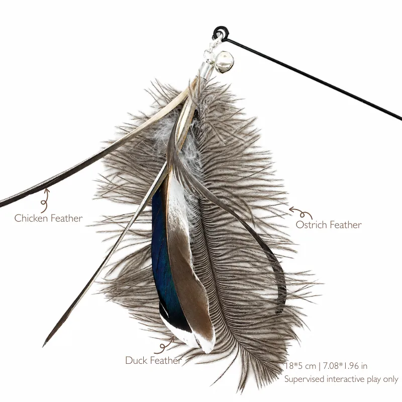 ostrich-plume-cat-wand-replacement-size Ostrich Plume cat wand replacement shown attached to a wand, with gray ostrich, duck, and chicken feathers and 18 × 5 cm dimensions.