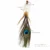 Peacock Tail