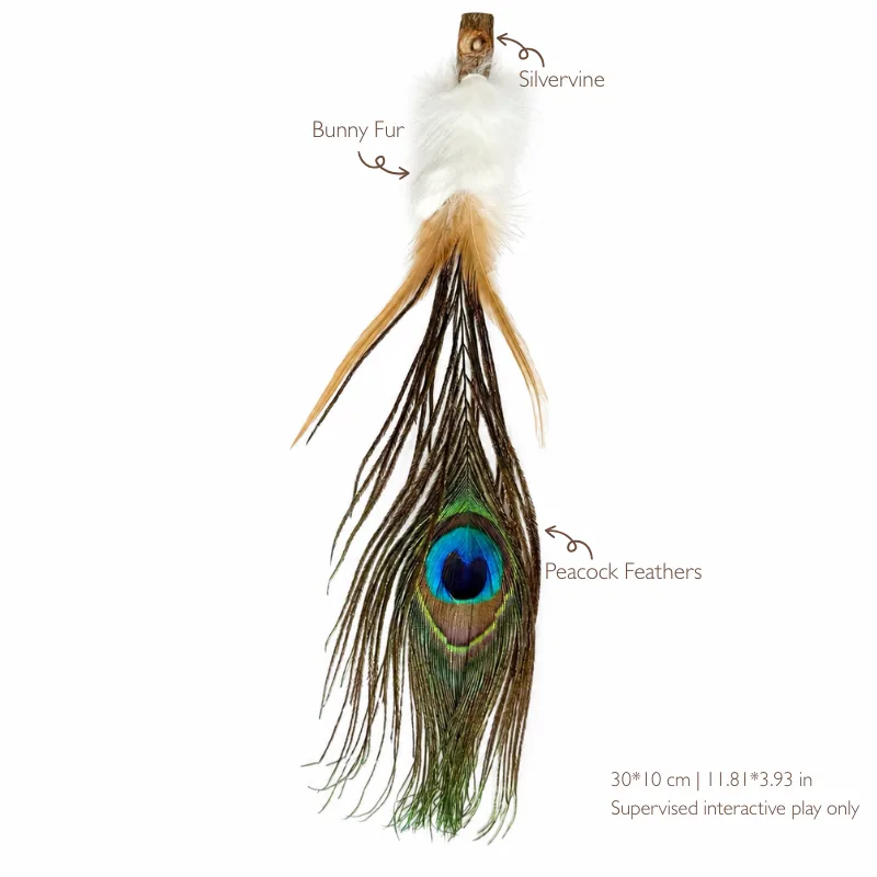 peacock-feather-cat-wand-teaser-refill-size Peacock feather cat wand teaser refill with a long natural eye feather, Bunny Fur and Silvervine, measuring approximately 30 x 10 cm.