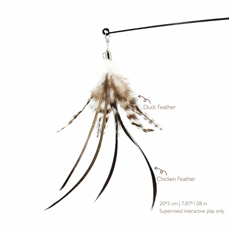 slim-longtail-cat-feather-wand-refill-size Slim Longtail cat feather wand refill shown attached to a teaser rod, with mottled duck feathers, narrow chicken feathers, and 20 × 3 cm dimensions.