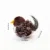 Speckled Sparrow Chirpy Bird