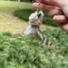wand-cat-toy-feathers-shimmering-tail Jellyfish Deer Fur Feather Wand Toys for Cats