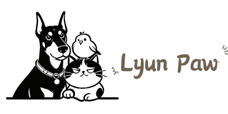 lyunpaw.com