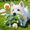 Small white dog playing with a Scarecrow Rope Tug Dog Toy on grass, showing chew, tug, fetch, and squeaky play features