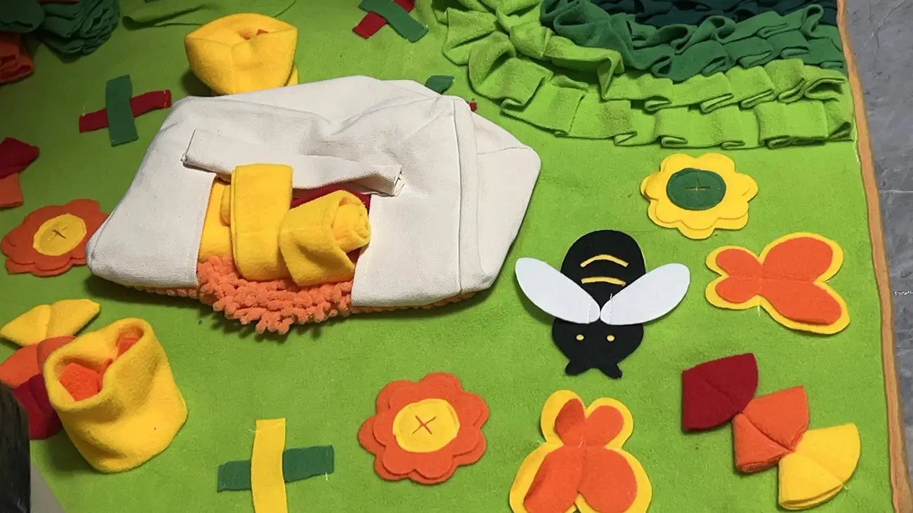 Rescue pet adoption success wall