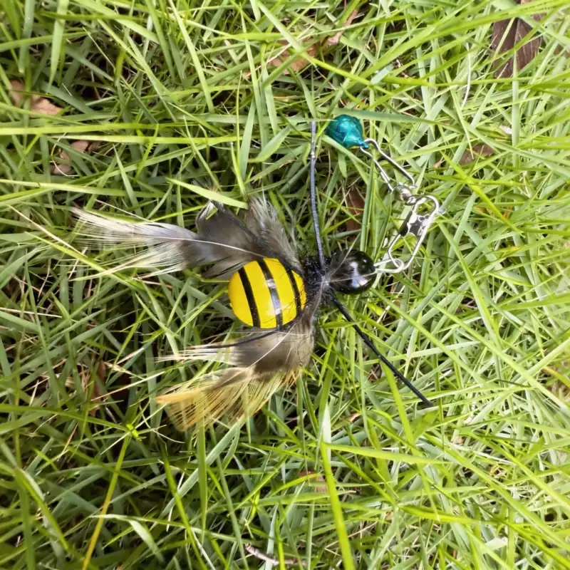 Bee cat toy resting in grass with a striped yellow-and-black body, patterned feather wings, silicone feelers, and bell attachment.