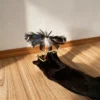 black-cat-catching-flying-cat-toy Black cat reaching up to catch a low-flying cat toy with broad dark feather wings during indoor wand play.