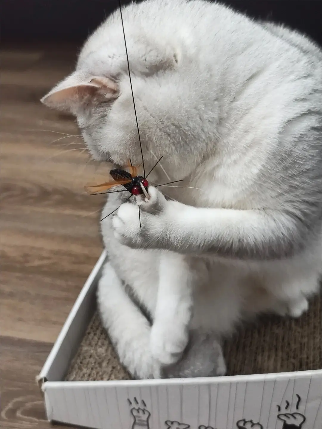 Handmade pet toys workbench
