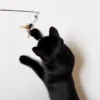 Black cat reaching up to swat a bee-shaped cat wand toy as the feather wings flutter just above its paws.