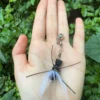 crawling-ant-cat-toy-wand-white-feather-outdoor-view White feather crawling ant cat toy wand attachment shown outdoors, featuring a small insect design that mimics prey movement for interactive play.