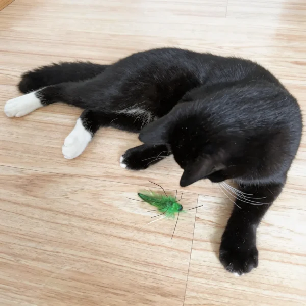 Black cat playing with Emerald Grasshopper Cat Wand Replacement on wooden floor during indoor playtime