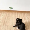 Tuxedo cat playing with Emerald Grasshopper Cat Wand Replacement on wooden floor during indoor playtime