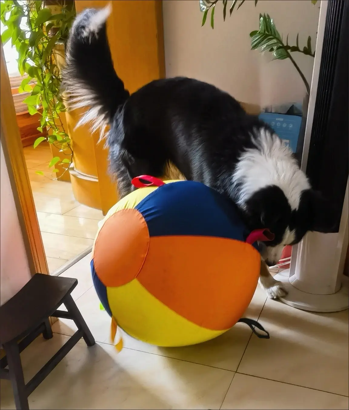 Handmade pet toys workbench