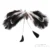 Twin-Tail Moth