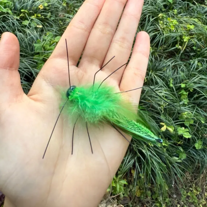 Green grasshopper bug cat toy displayed outdoors, highlighting the realistic insect silhouette and lightweight design of the cat teaser wand set.