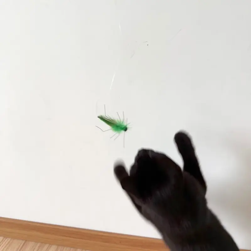 Green grasshopper cat toy insect during interactive play, showing a kitten teaser playing toy experience with a moving bug-inspired lure.