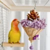 Lovebird exploring the purple Busy Beak Foraging Basket Bird Toy with shredding paper and pine cone inside the cage