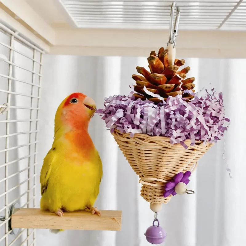 Lovebird exploring the purple Busy Beak Foraging Basket Bird Toy with shredding paper and pine cone inside the cage